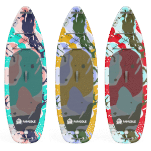 Modèle FLUID de PAPADDLE